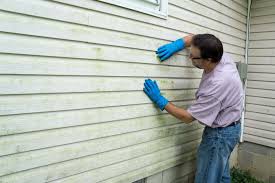 Best Storm Damage Siding Repair  in Stanton, TX